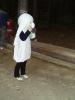 phles11